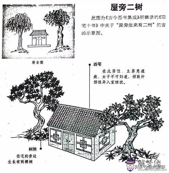 算命先生說不守正房什麼意思