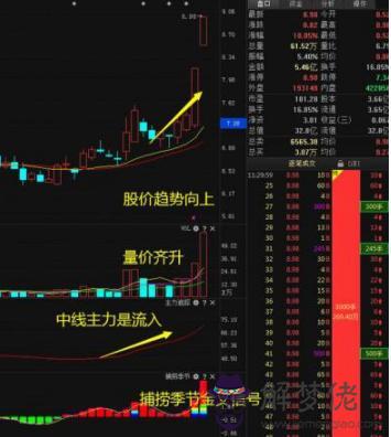 算命說長運是什麼意思