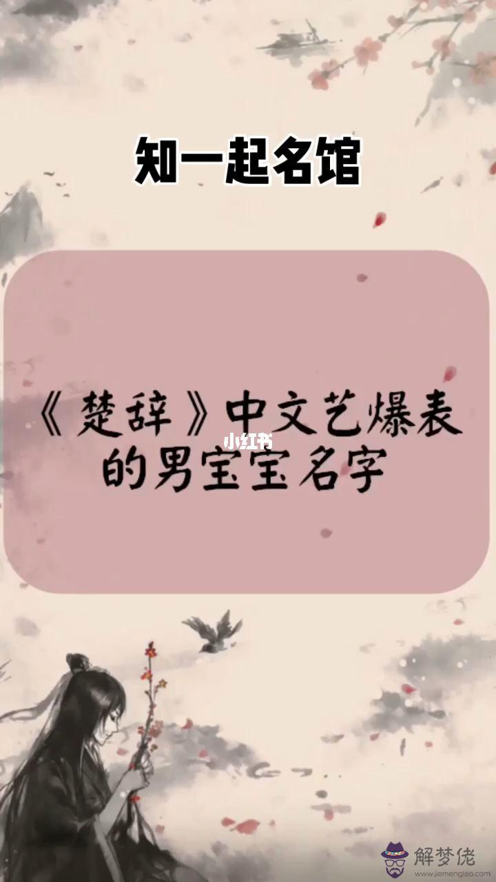 男楚辭女詩經文周易武什麼意思的簡單介紹