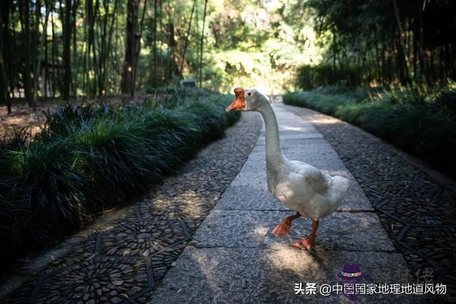 杭州中國石化營業廳八字橋