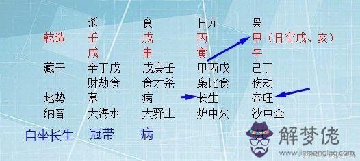 雙博士的八字