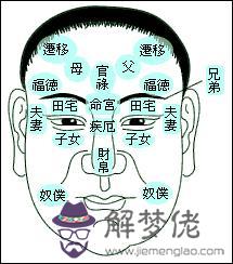 八字整容信息