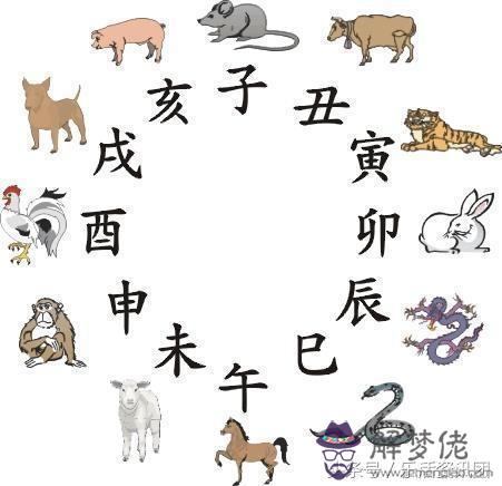 八字算命流年子午相沖條件