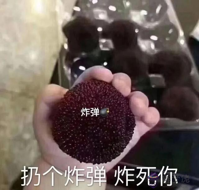 麻煩您看一下他的八字怎麼樣