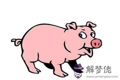 小孩叔豬他的爸爸叔猴八字相會嗎