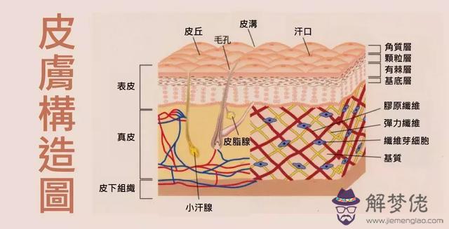 皺眉鼻子八字紋