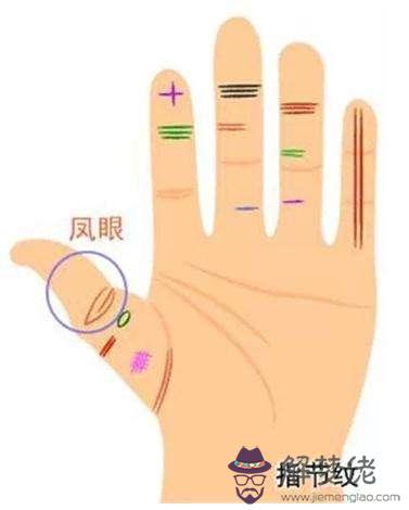 手掌八字紋的女人