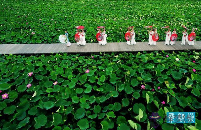 江蘇八字橋農業觀光旅游度假項目