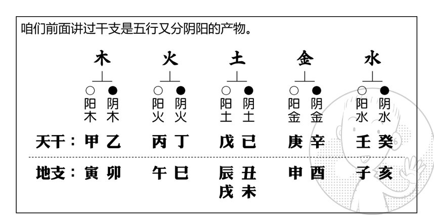 八字地支和天干誰重要