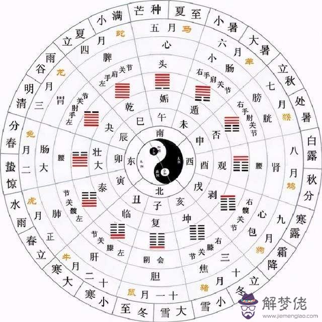 命局八字為何出現全陰全陽