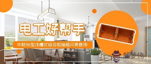八字電線新款 八字電線新款