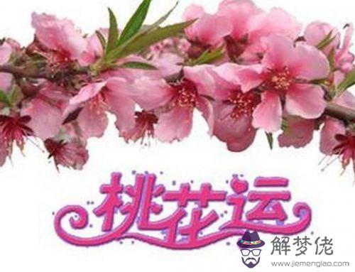 八字算命中關于桃花運的所有情況