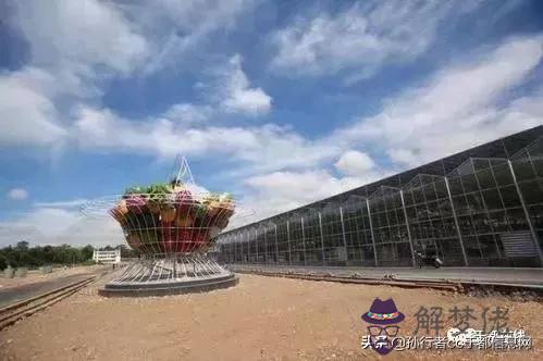 算命的說雞飛關是什麼意思 算命的說雞飛關是什麼意思