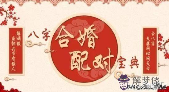 合八字程序 合八字程序