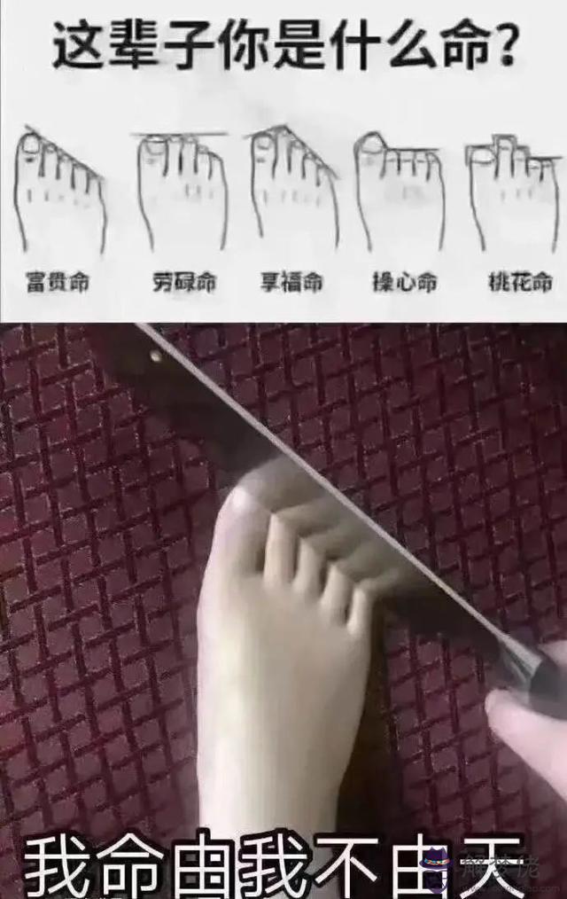 算命說坐在家都有錢進是啥意思 算命說坐在家都有錢進是啥意思