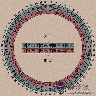 八字地支純陽