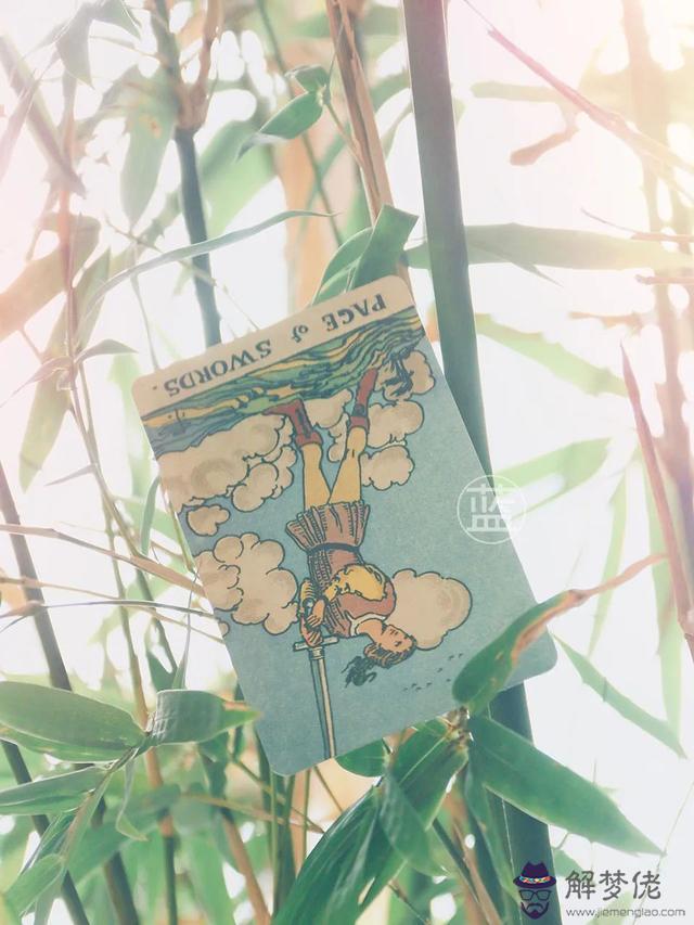 感情運勢的意思