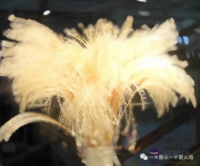 算命書上的并肩是什麼意思 算命書上的并肩是什麼意思