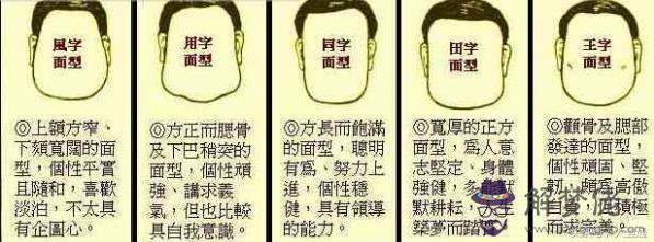 摸骨算命龜骨具體指什麼意思