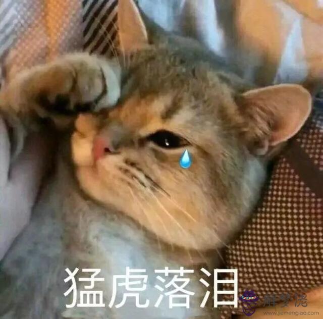 算命的門檻子不好是啥意思 算命的門檻子不好是啥意思
