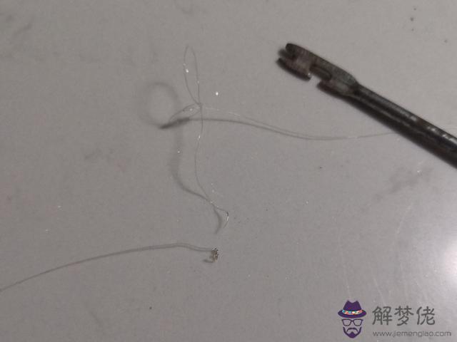 八字環與主線和子線的綁法 八字環與主線和子線的綁法