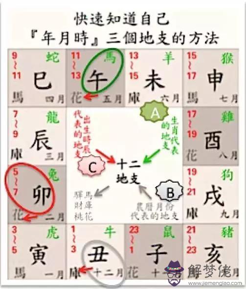 看女命八字桃花