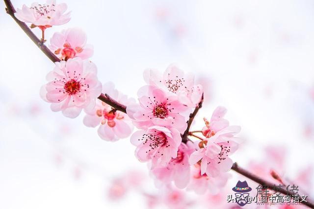 生辰八字也是 生辰八字也是