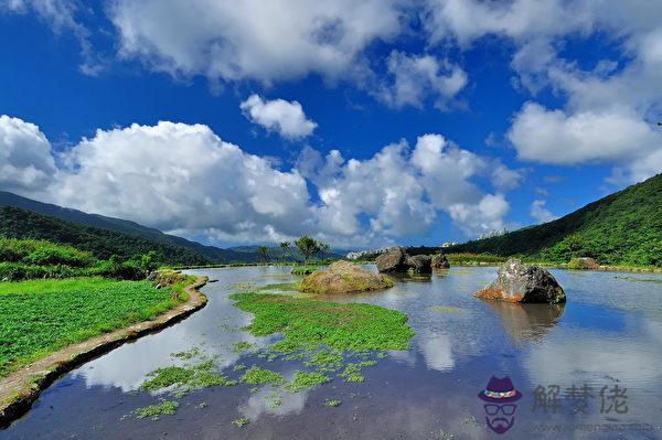 衰旺在八字中啥意思