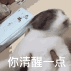 算命的說權貴是什麼意思 算命的說權貴是什麼意思