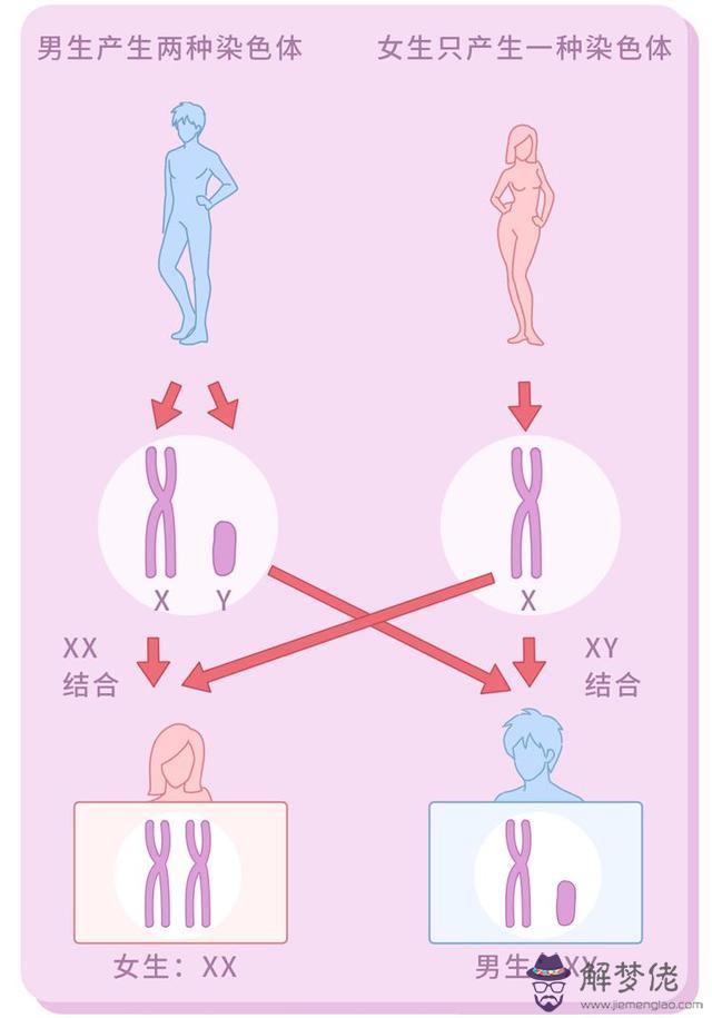 算命里說的陰陽人是什麼意思