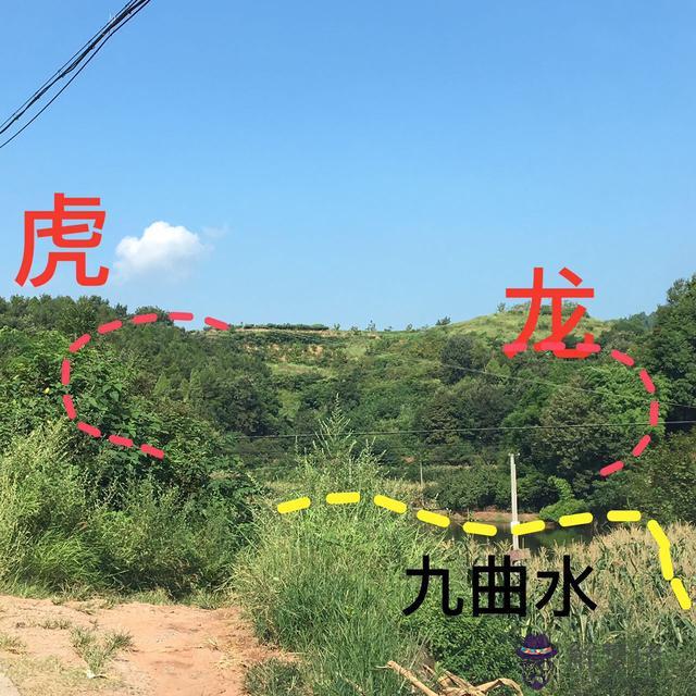 八字里面命主是什麼意思