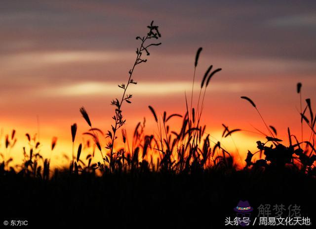 算命里的忌是什麼意思