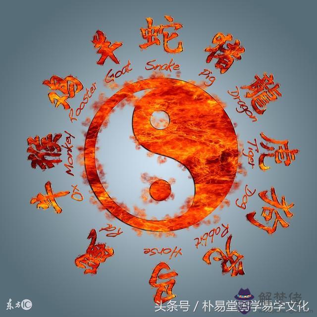 八字中的星宿啥意思