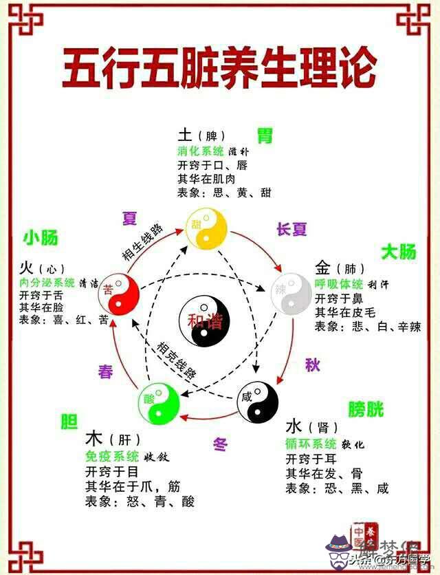 算命里五行是什麼意思