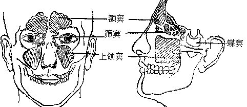 懸針八字中什麼意思