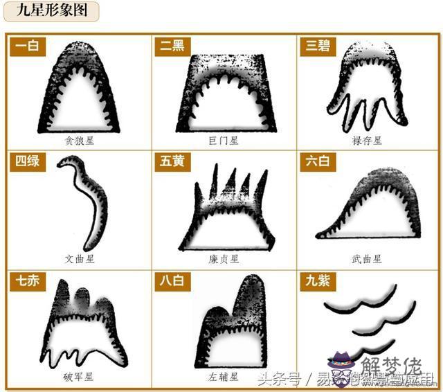 易經巨門星生氣木是什麼意思