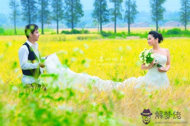 攝影八字構圖法指什麼意思 攝影八字構圖法指什麼意思
