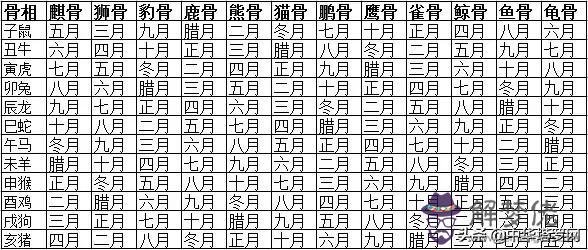 算命人是龜骨是什麼意思