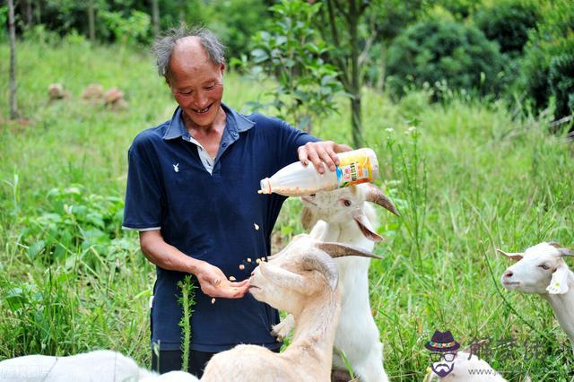 算命先生說夫妻合財是什麼意思