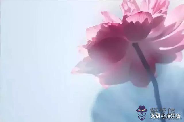 辛已葵在算命里是啥意思 辛已葵在算命里是啥意思