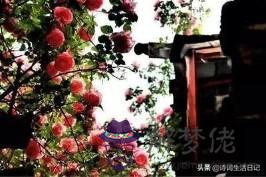 日新之謂盛德周易意思 日新之謂盛德周易意思