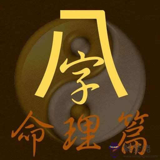 看八字教學視頻