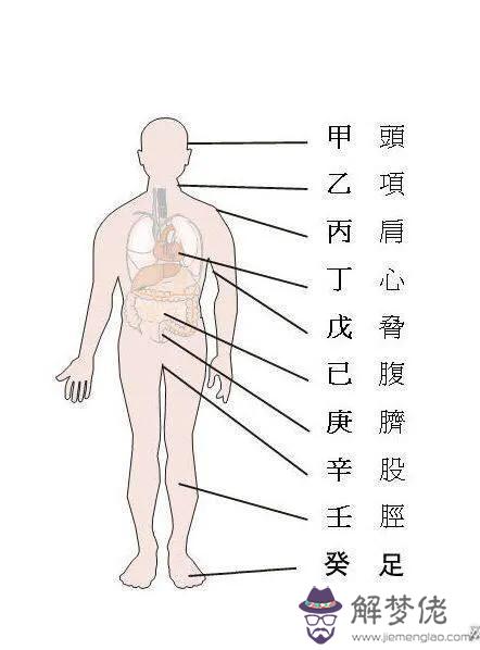 八字火土身體上代表什麼意思