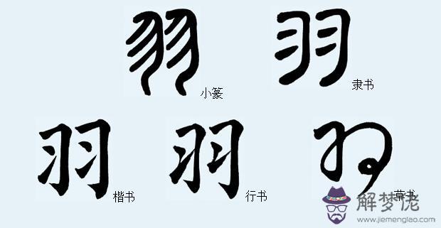 羽字易經里啥意思