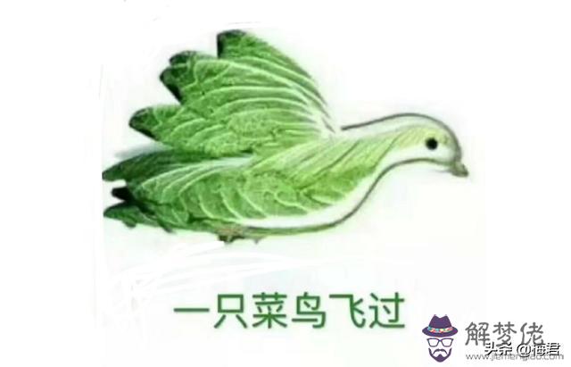 易經求精的意思