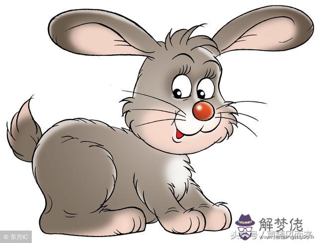 四月兔命運帶什麼意思