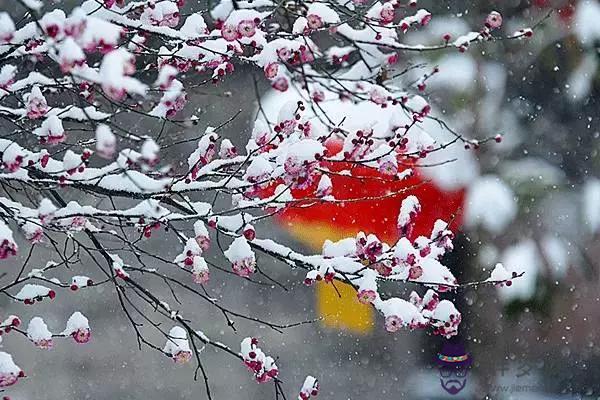 易經圖山村釀酒的意思