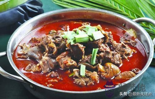 算命里天狗指的是什麼意思 算命里天狗指的是什麼意思