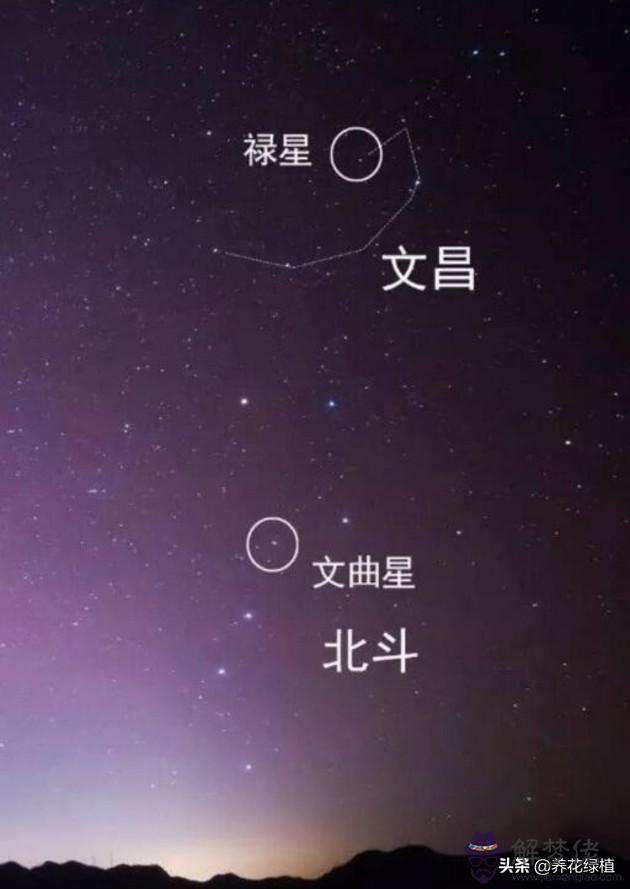 八字帶兩個文昌星什麼意思