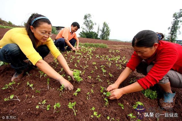 占卜放盤是什麼意思